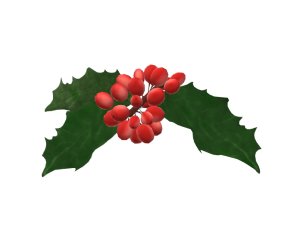 Cartoon holly leaves and berries